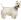 Terrier White